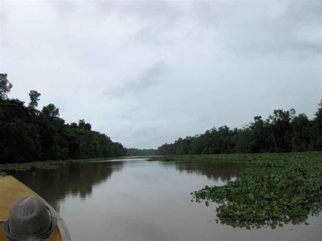 ORINOCO DELTA - uitzicht onderweg naar onze eco lodge