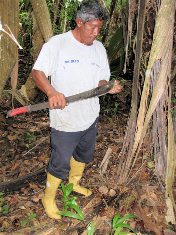ORINOCO DELTA - gids van onze amazone wandeling