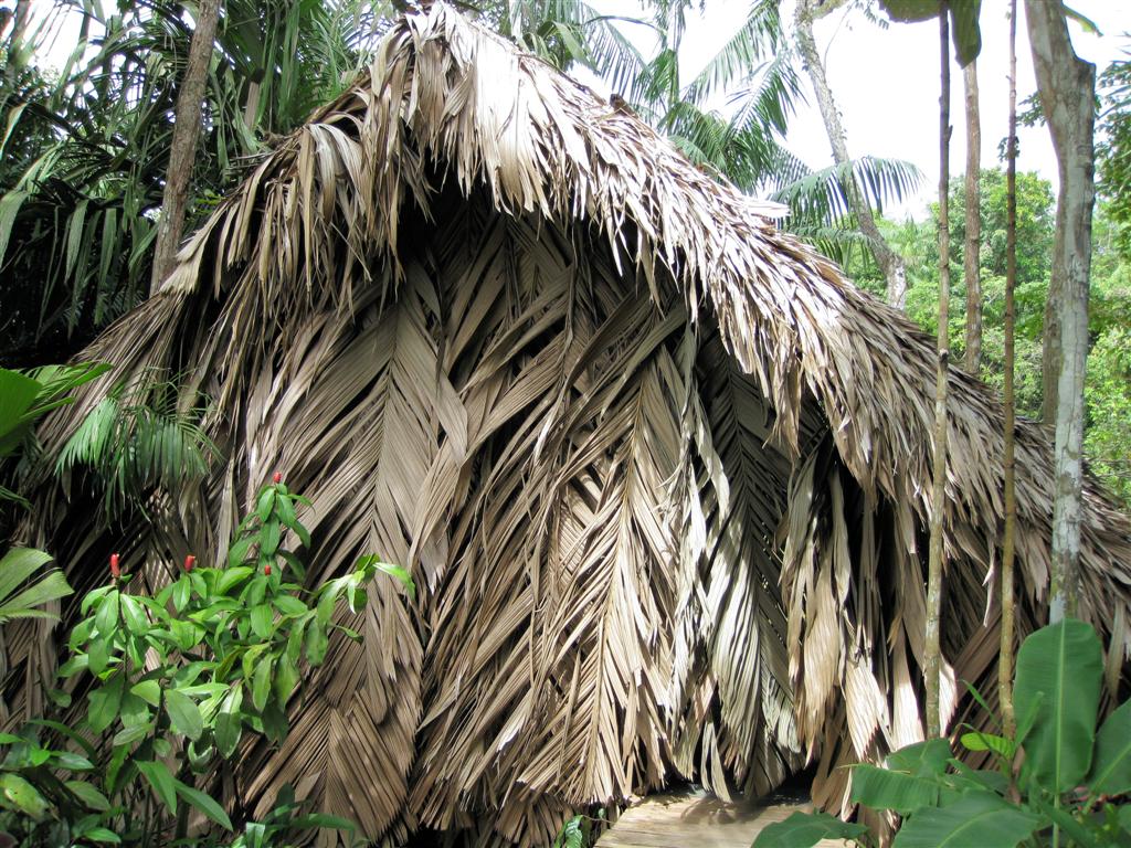 ORINOCO DELTA - voorkant van onze hut bij onze eco lodge