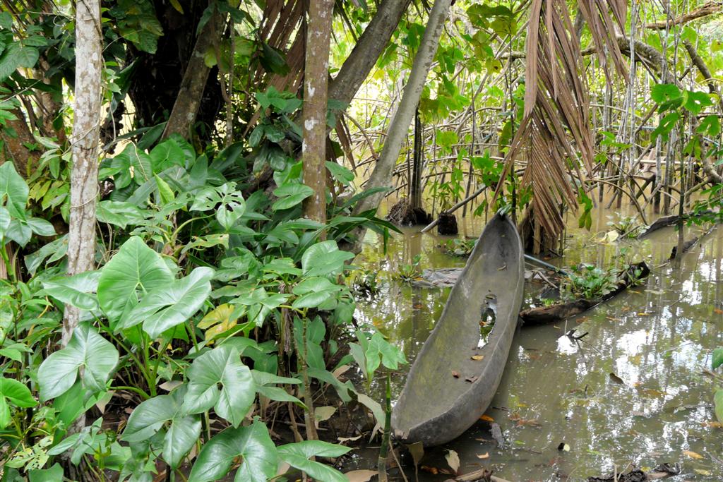 ORINOCO DELTA - kano amazone indianen