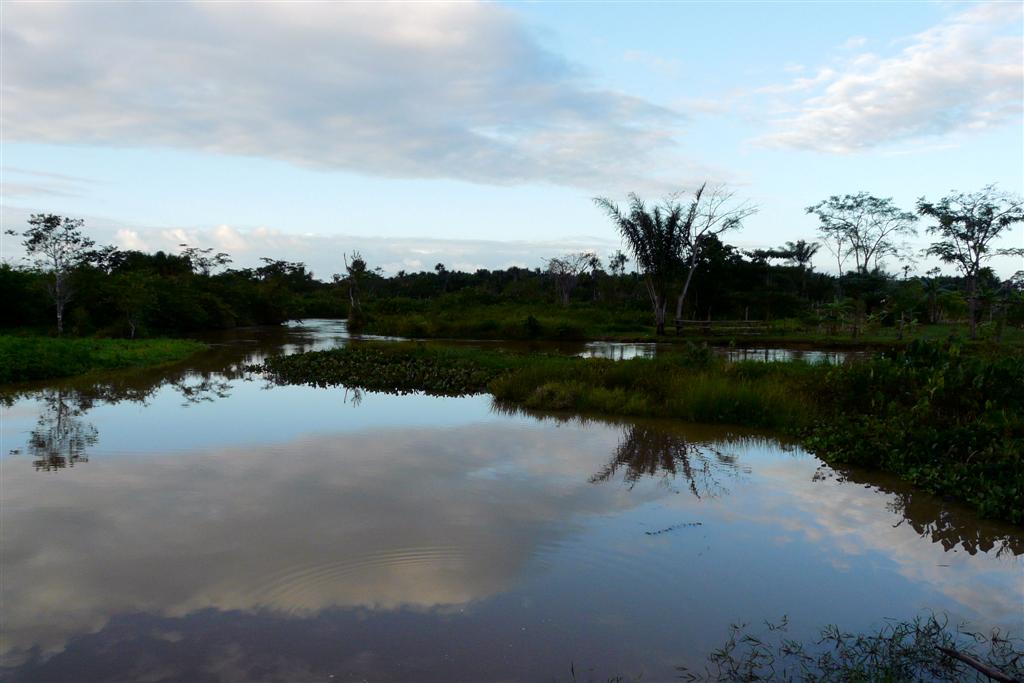 ORINOCO DELTA - uitzicht tijdens onze boottocht