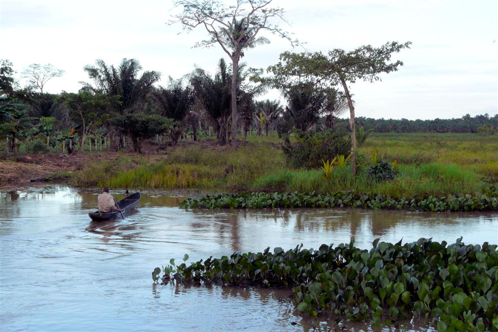 ORINOCO DELTA - uitzicht tijdens onze boottocht