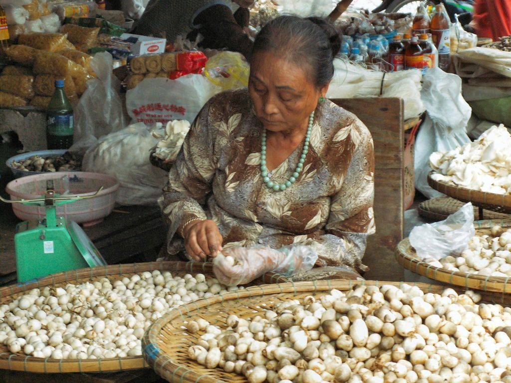 HUÉ - een vrouw die vruchten aan het pellen is op een markt