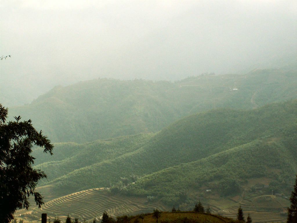 SAPA - het landschap