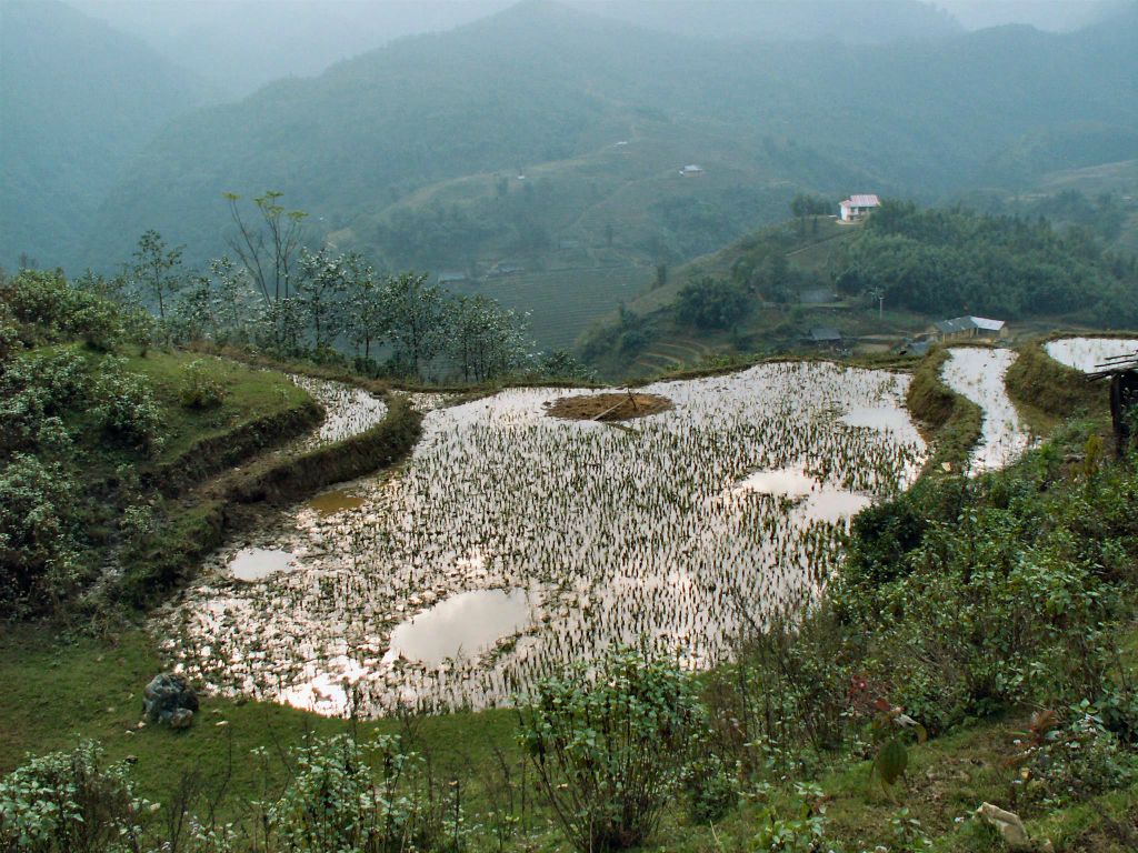 SAPA - het landschap