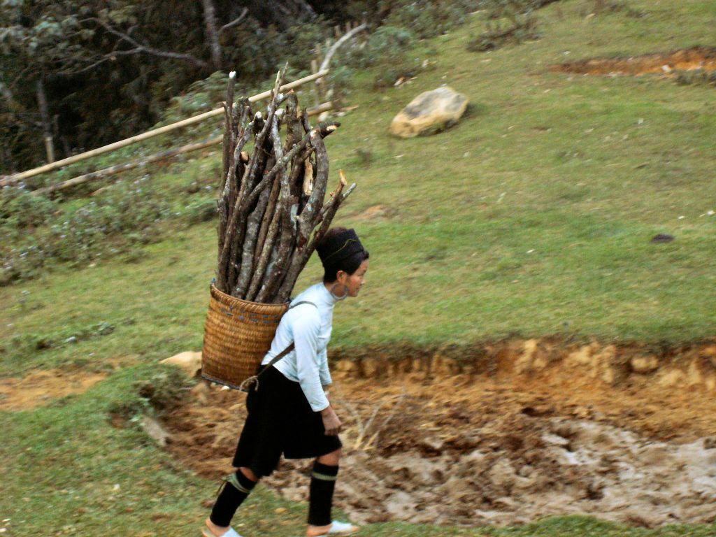 SAPA - een vrouw die hout draagt