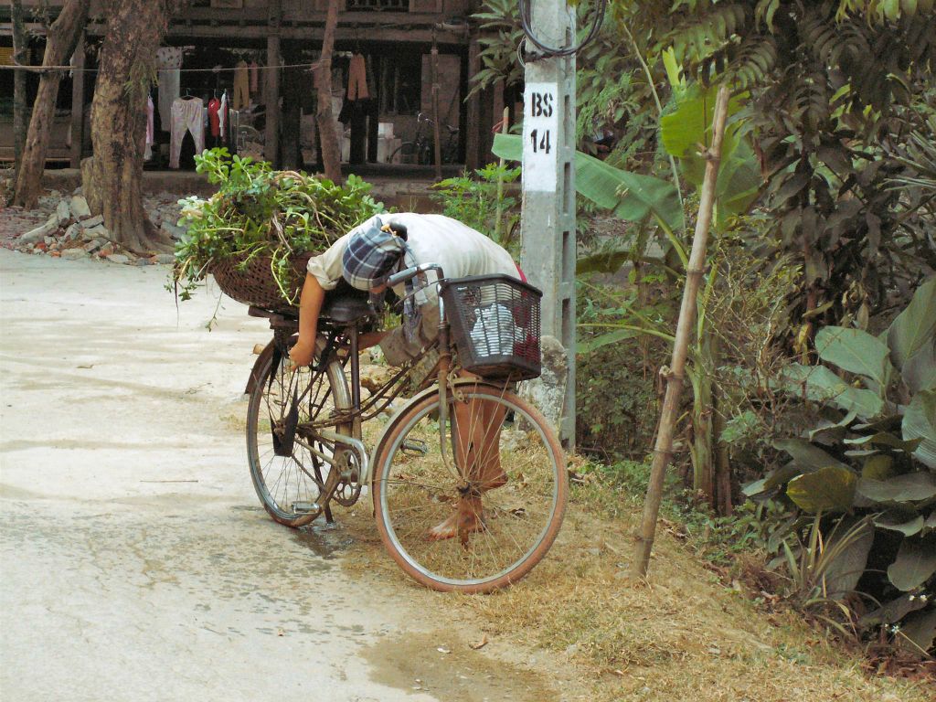 MAI CHAU - een vrouw met een fiets
