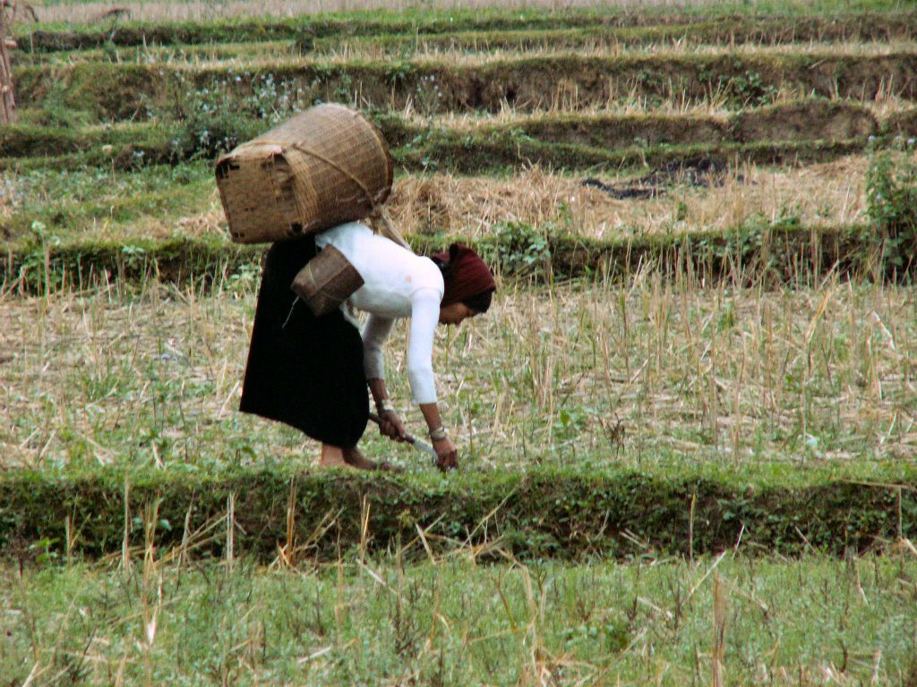 MAI CHAU - een vrouw aan het werk
