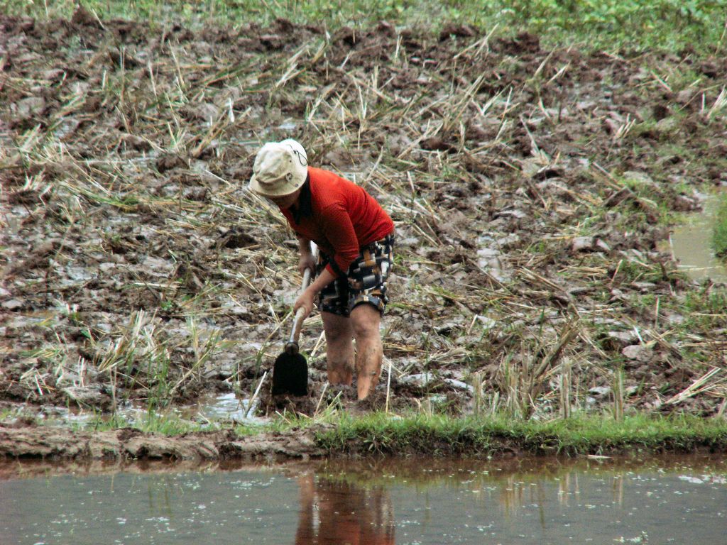 MAI CHAU - een man aan het werk