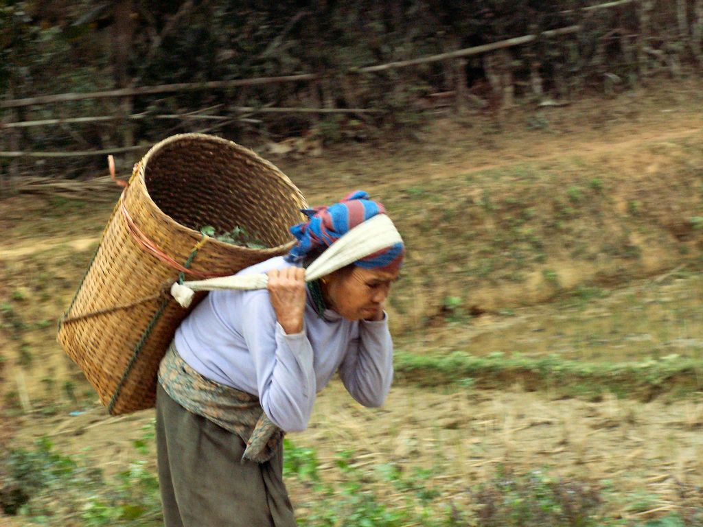 MAI CHAU - een oudere vrouw