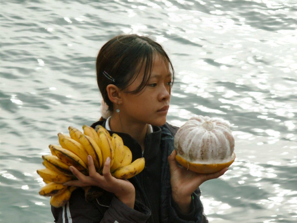 HALONG BAY - een fruitverkoper