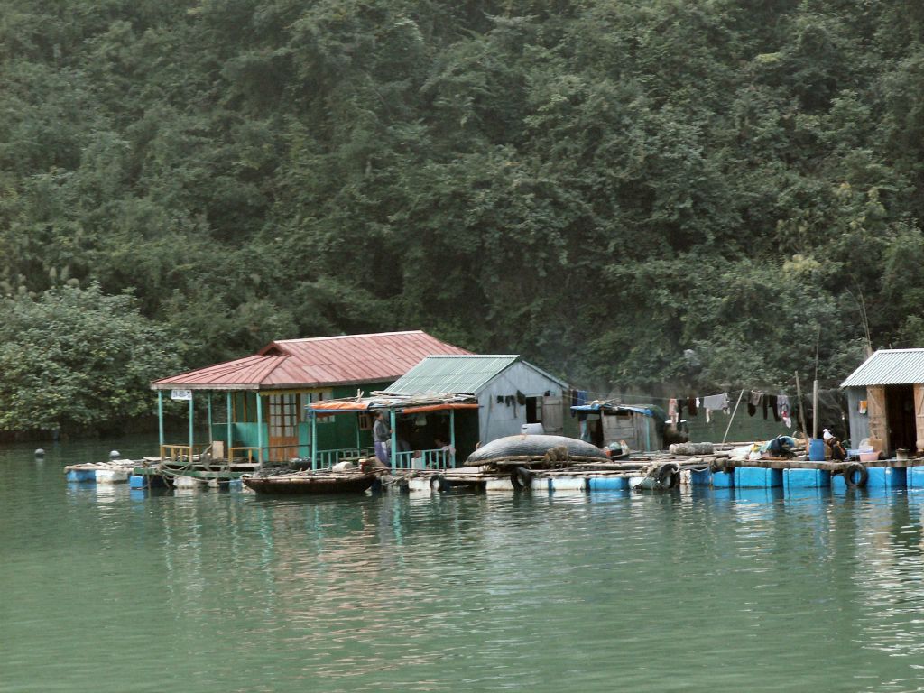 HALONG BAY - een vissenkwekerij op het water