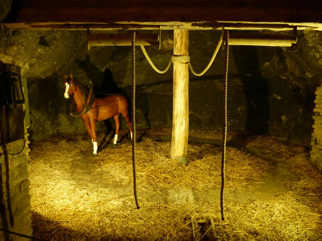 HINTERBRÜHL - paarden werden ingezet in de Seegrotte
