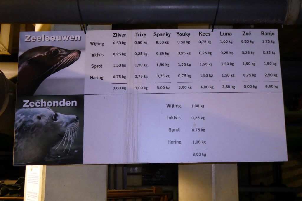de voedingskaart van de zeeleeuwen en zeehonden