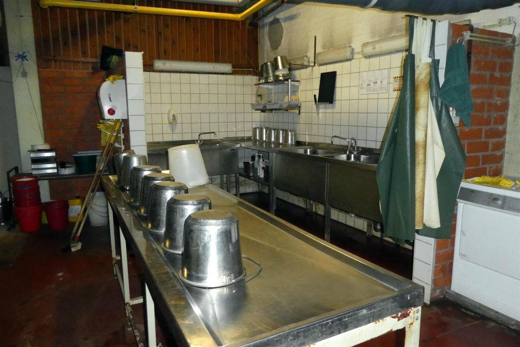 de keuken van de zeeleeuwen en zeehonden
