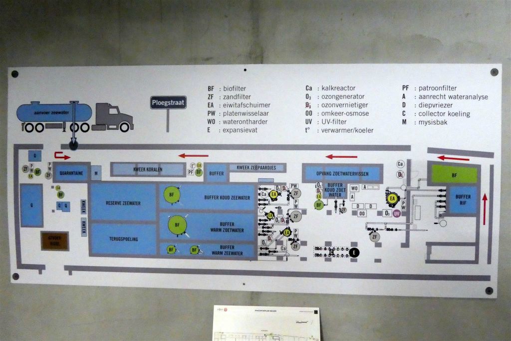 een overzicht van de waterzuiverings installatie