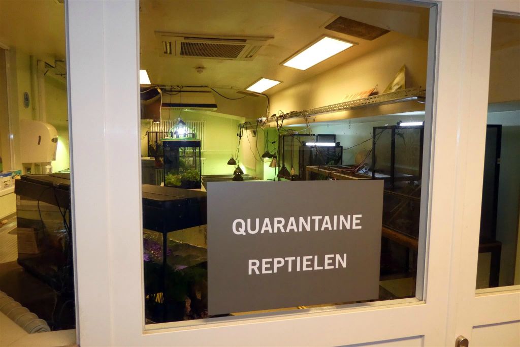 de reptielen onderzoeksruimte