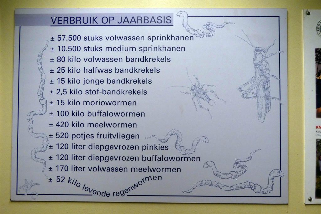 een overzicht van het voedselverbruik van de reptielen