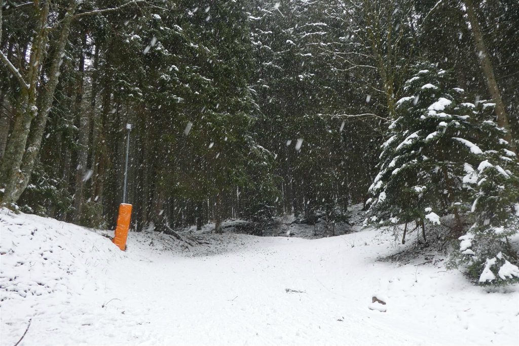 TITISEE - een gedeelte van de 1,2km lange rodelbaan