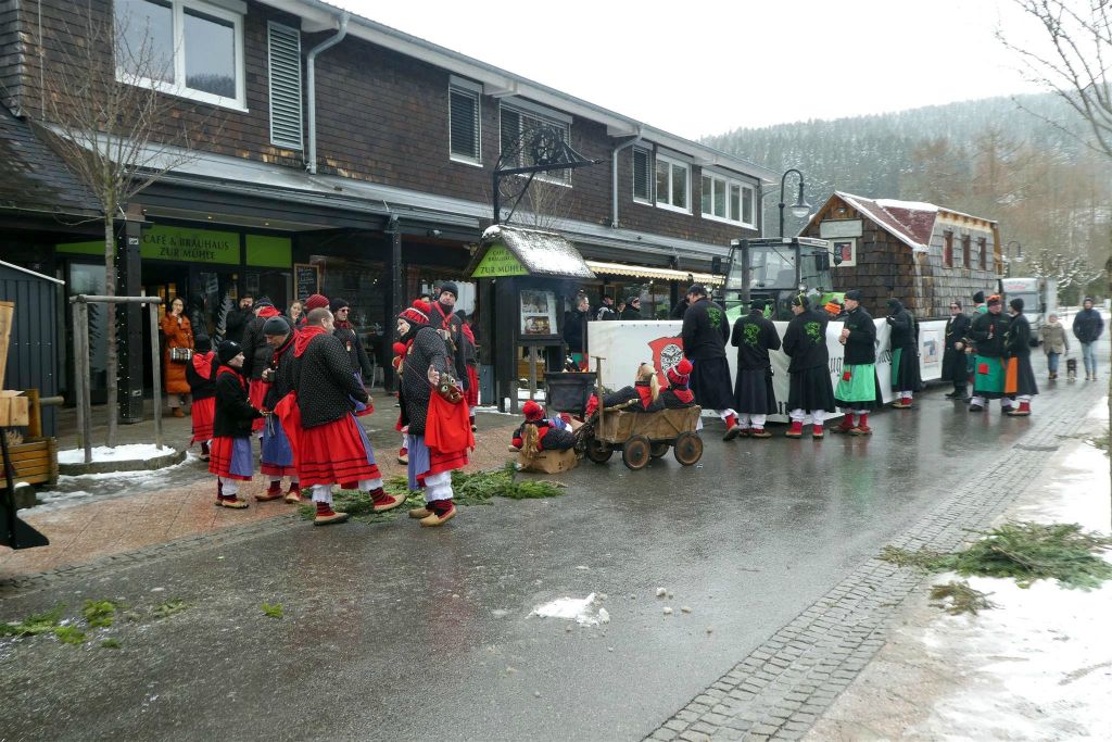 TITISEE - enkele carnavalsvierders
