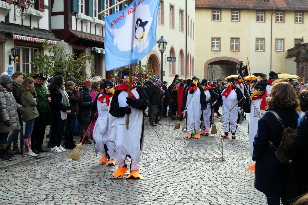 WOLFACH - een gedeelte van de carnavalsoptocht
