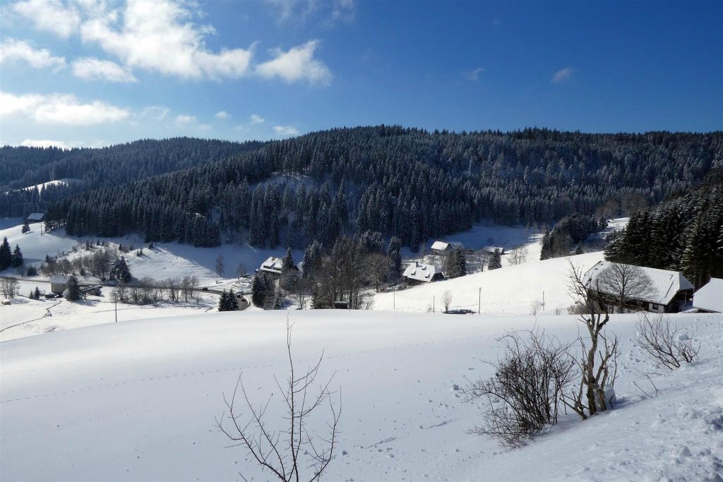 TRIBERG -> OBERWOLFACH - het uitzicht onderweg